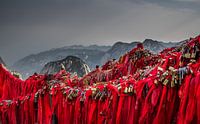 Red ribbons