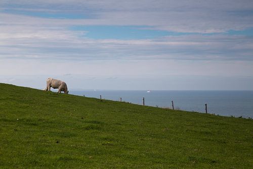 Pêcheur en descente