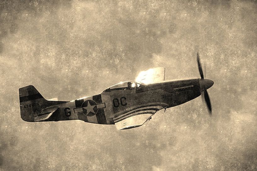 Mustang P-51D-30-NA von Pieter van Dijken
