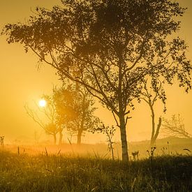 beau paysage avec du brouillard sur Angelique Rademakers