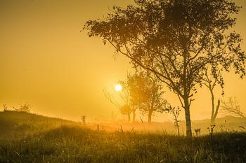 schöne Landschaft mit Nebel