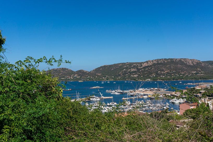 Boten in de haven van Porto Vecchio in Corsica Frankrijk van Animaflora PicsStock