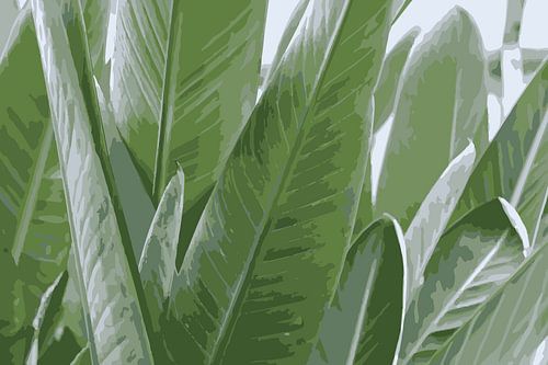 Papagaaiplant, illustratie in groentinten