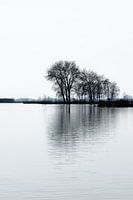 Paysage hivernal près de Terherne au Saltpoel - Frise, Pays-Bas
