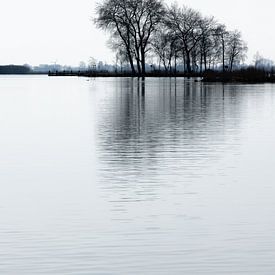Winter landscape near Terherne at the Saltpoel - Friesland, Netherlands by Marjan Schmit Visser