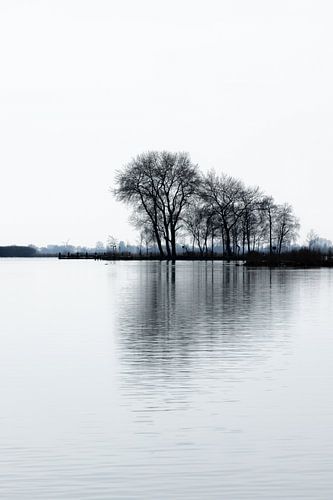 Winterlandschap bij Terherne aan de Saltpoel – Friesland, Nederland van Marjan Schmit Visser