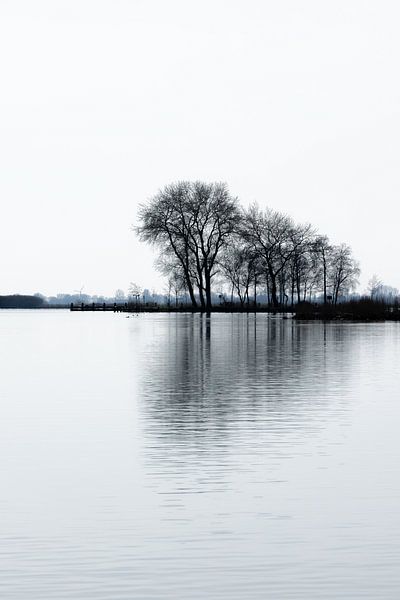 Paysage hivernal près de Terherne au Saltpoel - Frise, Pays-Bas par Marjan Schmit Visser