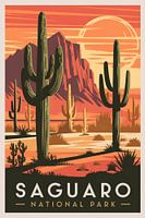 Saguaro National Park, Arizona