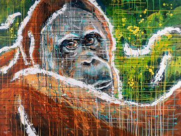 Observe the Orangutan van ART Eva Maria