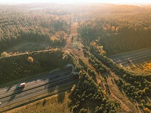 Ökodukt über eine Autobahn in der Veluwe