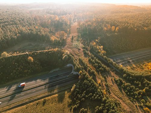 Ecoduct over een snelweg op de Veluwe