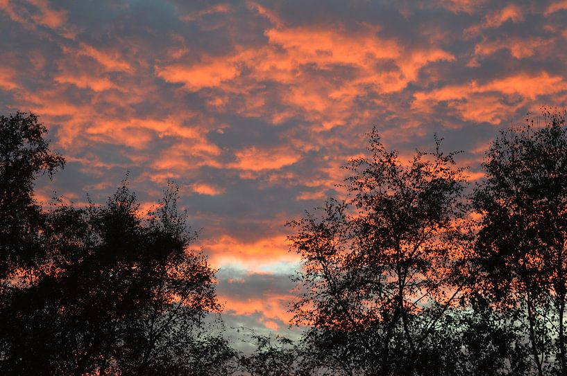 Avondrood Twente van Gera Wijlens