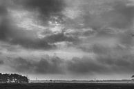 Bussumer Heath - Paysage en noir et blanc par Mascha Boot Aperçu