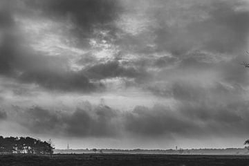 Bussumer Heath - Black and white landscape by Mascha Boot
