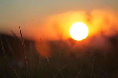 aurora van fantasina