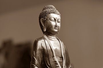 Buddha van Didden Art