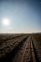 The road in the distance
