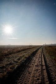 De weg in de verte van Wytze Kiers