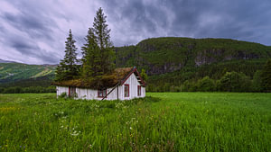 Haus mit Baum auf dem Dach in Hemsedal, Norwegen