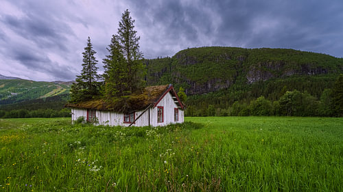 House with a tree on the roof in Hemsedal, Norway by Henk Meijer Photography