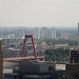 The bridges of Rotterdam by Martijn