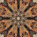 Starburst Kaleidoscope by Dorothy Berry-Lound thumbnail