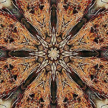 Starburst Kaleidoscope by Dorothy Berry-Lound