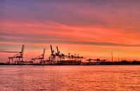 Rotterdamse haven van Thijs Schouten thumbnail