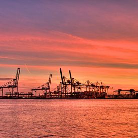 Sonnenaufgang im Hafen von Rotterdam sur Thijs Schouten