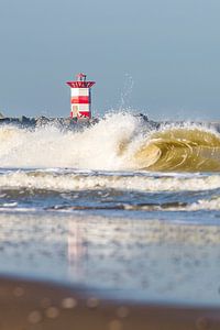 No Surfers Scheveningen von Stefan van der Kamp