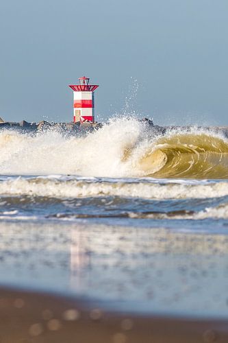 No Surfers Scheveningen van Stefan van der Kamp