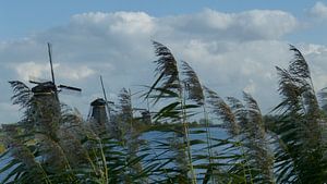 Windmills Kinderdijk von Gijs van Veldhuizen