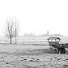 Die weiße Polderlandschaft in Strijen im Hoeksche Waard von MS Fotografie | Marc van der Stelt