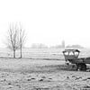 Le paysage de polders blancs à Strijen, dans le Hoeksche Waard sur MS Fotografie | Marc van der Stelt