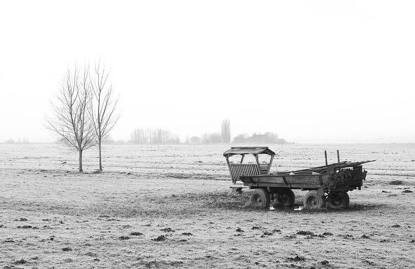 Le paysage de polders blancs à Strijen, dans le Hoeksche Waard par MS Fotografie | Marc van der Stelt