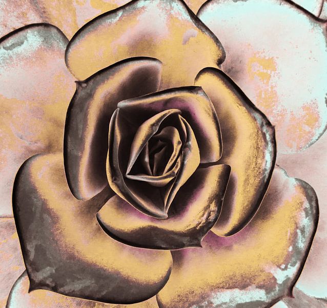 POPART DE SUCCULENTS I par Pia Schneider