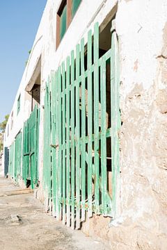 Old boathouse with green wooden doors by Merel Naafs