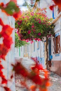 O esplendor floral de Ferragudo