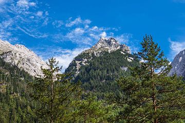 Landscape in the Klausbach valley in the Berchtesgadener Land in Bavaria