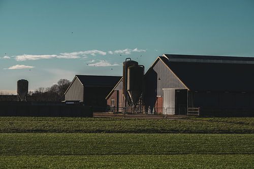 Rustieke boerderij in Utrecht, Nederland