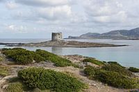 Torre della Pelosa Sardinia