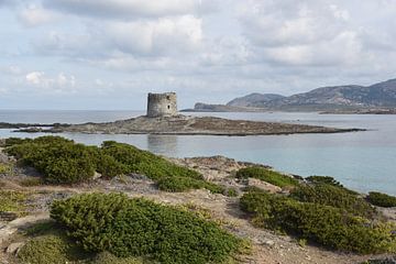 Torre della Pelosa Sardinië van Niels van Dijk