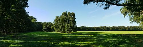 panorama van Drentscoulisselandschap