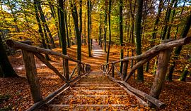 Autumn in Sonsbeek park Arnhem by Erik Keuker