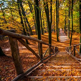 Herbst im Sonsbeek-Park Arnheim von Erik Keuker