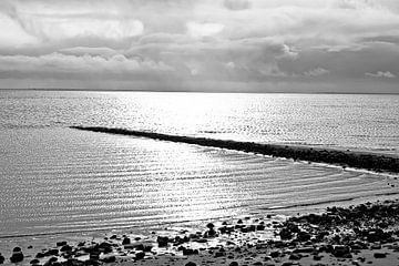 The Wadden Sea by Norbert Sülzner