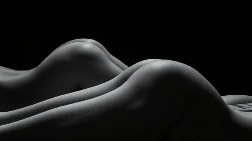 Silhouettes sculptées - La poésie de deux corps