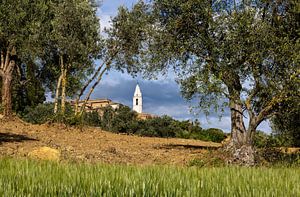 Pienza tussen de olijfbomen, Italië van Adelheid Smitt