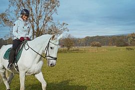 Training with the white horse on a riding arena in autumn