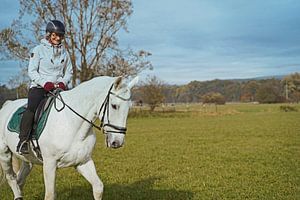 Training mit dem weißen Pferd auf einem Reitplatz im Herbst